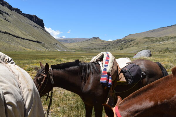 Jorge García de “pampasnegras” realizando una cabalgata desde Malargue y llegando a 4 Hitos frontera con Chile (Poncho Pehuenche “Familia Avar Saracho”) Malargüe Pcia. de Mendoza